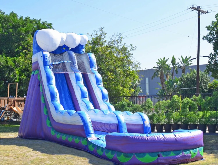 22 FT Purple Waterslide